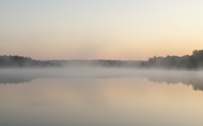 Complex Trauma in Women: What It Is and Why It Is Hard to Name